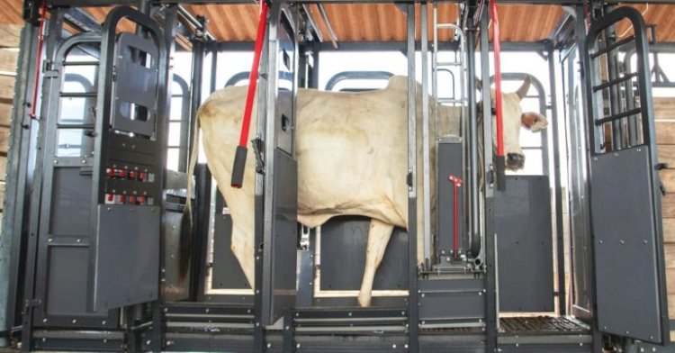 Beckhauser reforça importância de soluções integradas na Expogrande