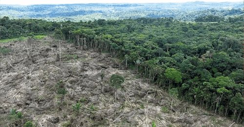 Famato orienta produtores sobre impacto do Prodes no crédito rural