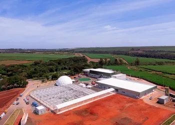 Nova fábrica dá pontapé inicial à produção de sementes de cana no Brasil