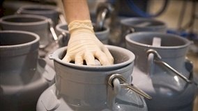 Mudança no ICMS beneficia indústria de laticínios em Mato Grosso