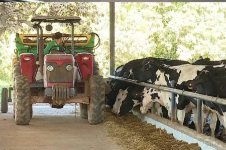 CNJ endurece regras da recuperação judicial no agronegócio e amplia exigências