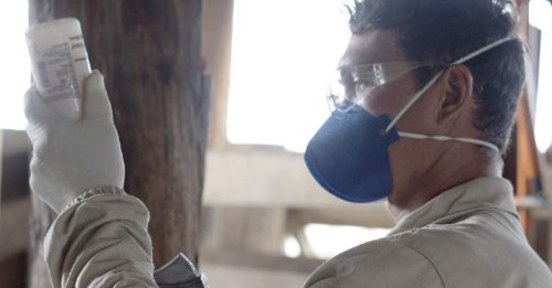 Saúde animal: CNA cobra providências para falta de vacina no País