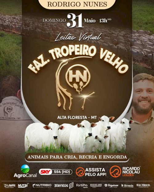 LEILÃO VIRTUAL FAZENDA TROPEIRO VELHO