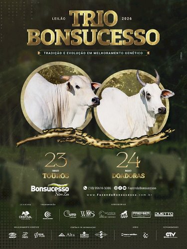 LEILÃO TRIO BONSUCESSO TOUROS