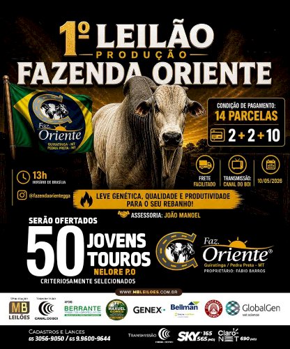 1ª LEILÃO PRODUÇÃO FAZENDA ORIENTE