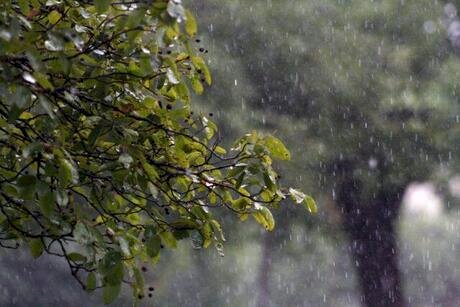 Chuva forte, temporais e baixa umidade marcam o tempo no Brasil nesta quarta