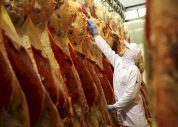 Conflito no Irã pode afetar temporariamente exportações de carne do Brasil, diz MDIC