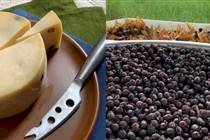Queijo com formiga? Iguaria brasileira custa mais de R$ 200 o quilo