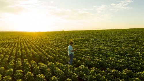 Brasil vira referência em biotecnologia agrícola