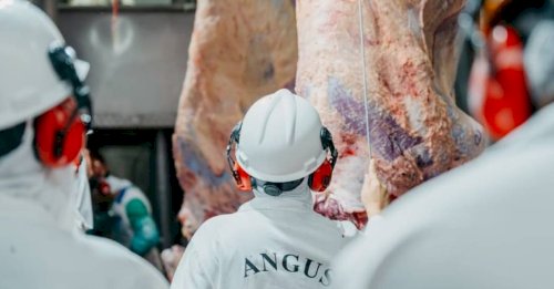 Em nota, Programa Carne Angus Certificada se manifesta sobre decisão da União Europeia