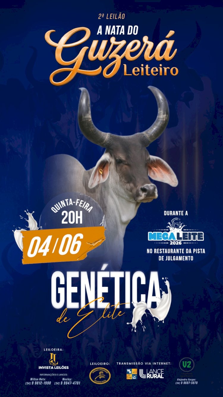 A Nata Guzerá Leiteira