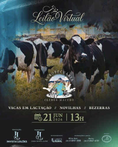 Leilão Virtual Cleber Macedo