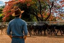 Projeto voltado à sucessão familiar estreia durante a Megaleite em Minas Gerais