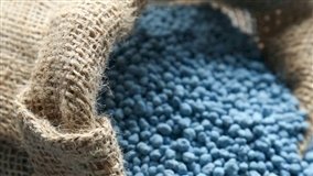 Mercado de fertilizantes mantém estabilidade