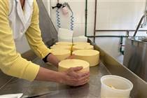 Indústria de laticínios cresceu 59% em Santa Catarina desde 2020