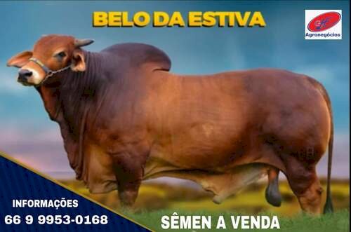 Declaração Pecuária 2026 reforça defesa agropecuária e mobiliza produtores em todo o Tocantins
