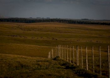 Inadimplência aumenta em meio a tentativa do governo de barrar renegociação