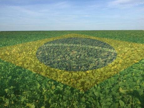 Soja em MT cai na média apesar de altas nas praças e frete limita reação