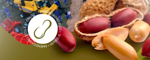 AmendoAgro 2026