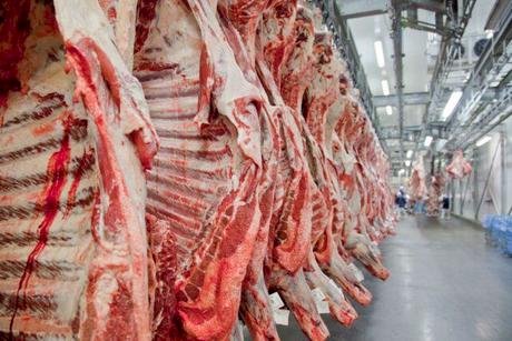 Exportações de carne bovina de MT registram recordes em maio/26