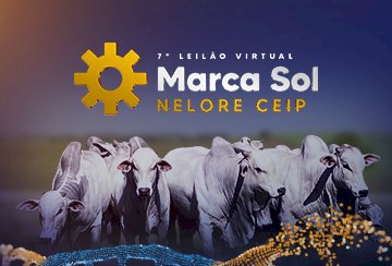 7º LEILÃO VIRTUAL MARCA SOL NELORE