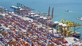 Indonésia vira segundo maior destino dos miúdos bovinos brasileiros