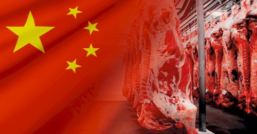 Efeito-China faz preço do boi gordo cair R$ 6/@ em 7 dias em SP