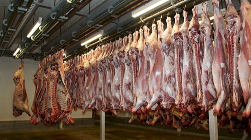 Entenda as novas regras para exportação de carnes à União Europeia e o que muda para o agro brasileiro