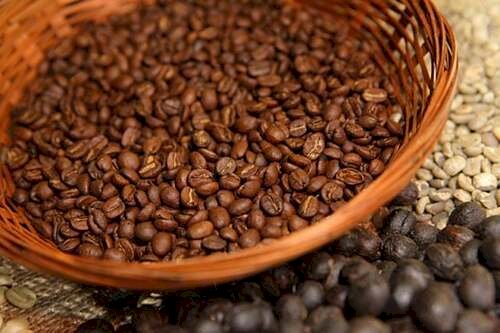 Tempo seco acelera colheita de café no Cerrado Mineiro