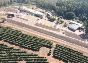 Gigante do café no Brasil avança em negociação para reestruturar dívidas