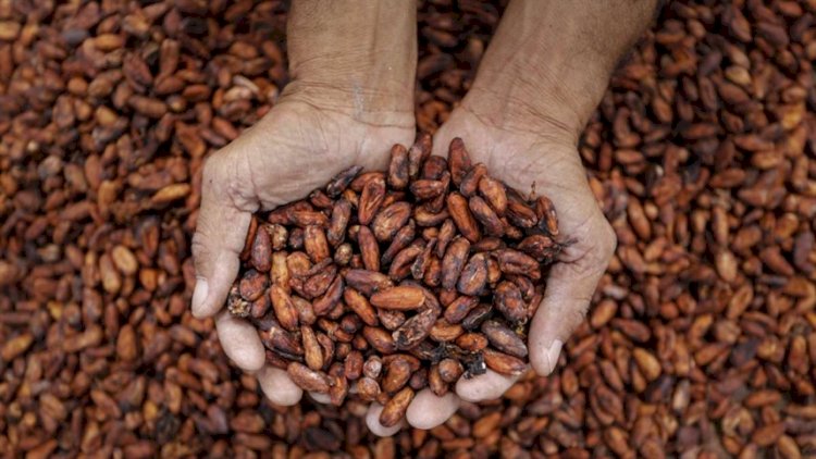 Commodities exigem avanço na agregação de valor