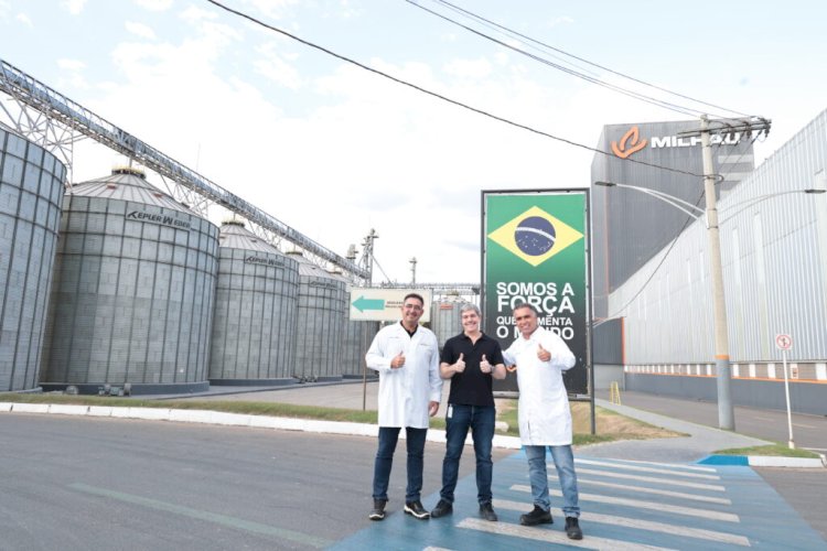 Indústria goiana transforma milho em inovação para mais de 70 países