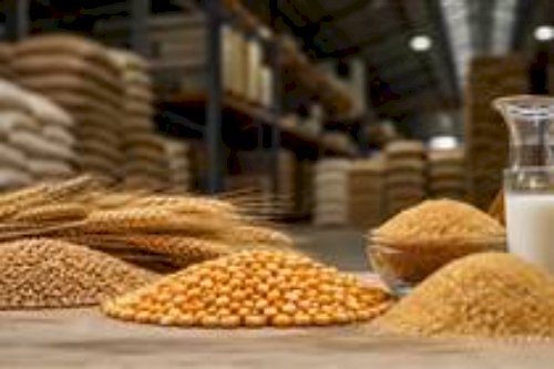 Lácteos recuam 0,7porcento no Índice de Alimentos da FAO, puxados por manteiga e leite em pó