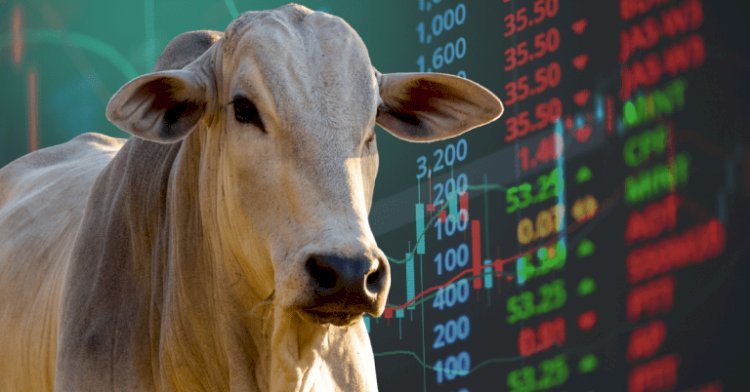 VBP do agro chega a R$ 1,39 trilhão em julho; carne bovina movimenta R$ 246,5 bi
