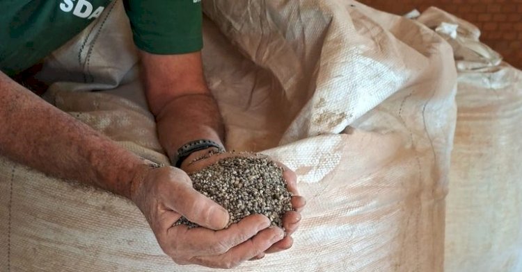 Operação apreende 217 toneladas de fertilizantes adulterados em MT