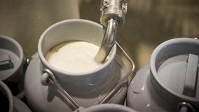 Preço do leite ao produtor acumula alta de 33porcento no primeiro semestre