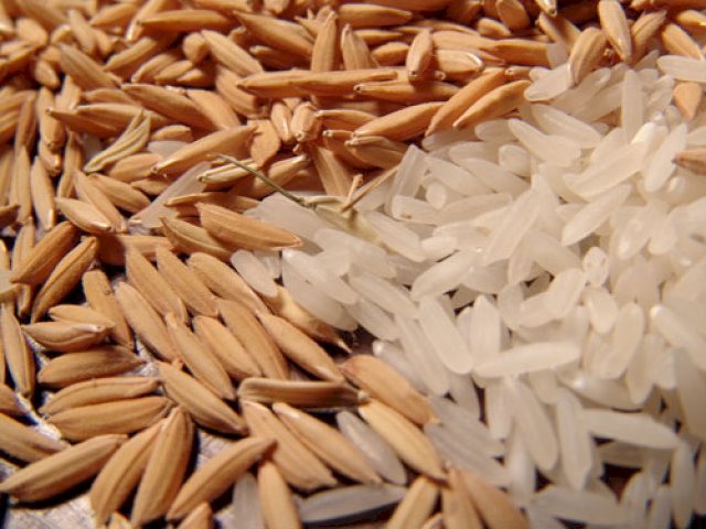 Preço do arroz em casca sobe no Rio Grande do Sul