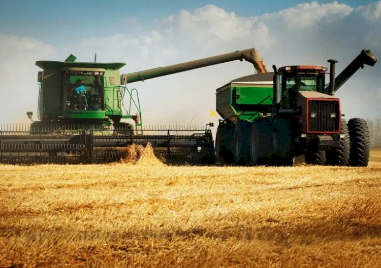 China compra mais de 70porcento das exportações do Tocantins e amplia participação no mercado estadual