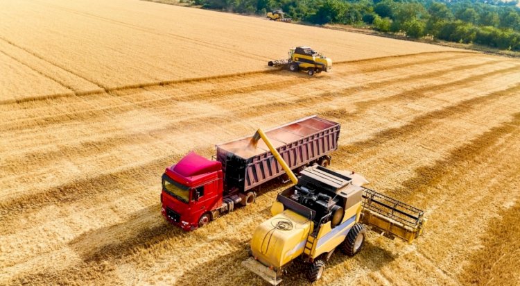 Fretes agrícolas têm comportamento distinto entre regiões em julho