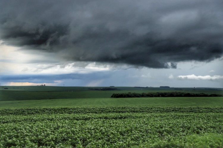 Chuva irregular pode atrasar plantio de soja em MT e GO