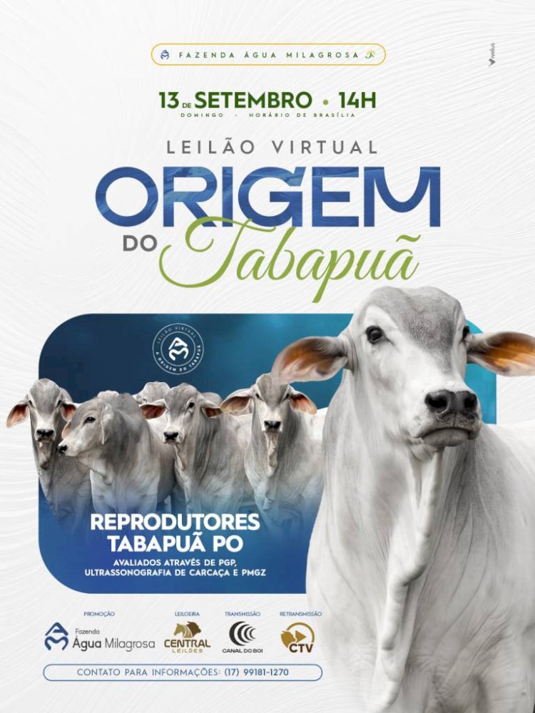 LEILÃO VIRTUAL ORIGEM DO TABAPUÃ - FAZENDA ÁGUA MILAGROSA
