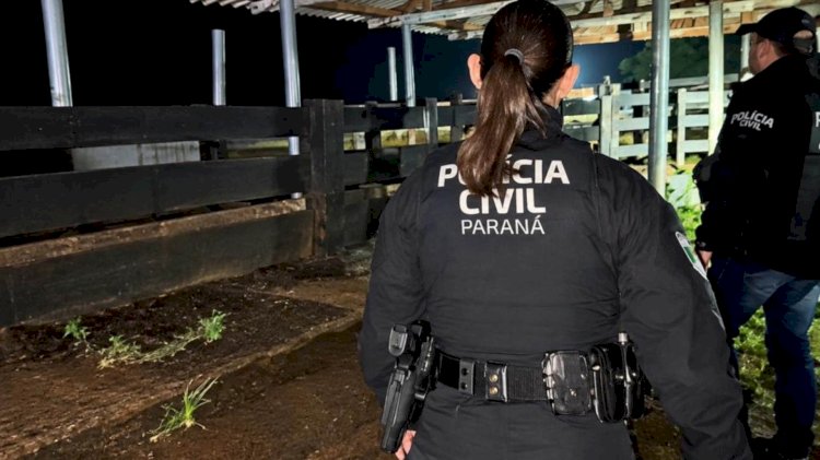 Grupo que furtou 2 mil cabeças de gado é alvo de megaoperação policial no Paraná: prejuízo estimado é de R$ 10 milhões