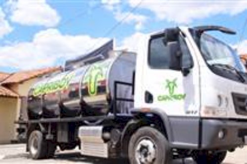 No semiárido paraibano, Capribov transforma leite de cabra em produtos premiados
