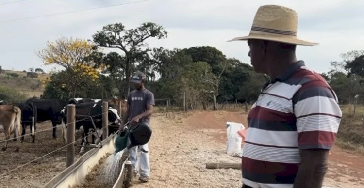 Produtor de Caldas Novas: De duas vacas a mil litros de leite por dia: família prospera na pecuária com apoio do Senar-Go