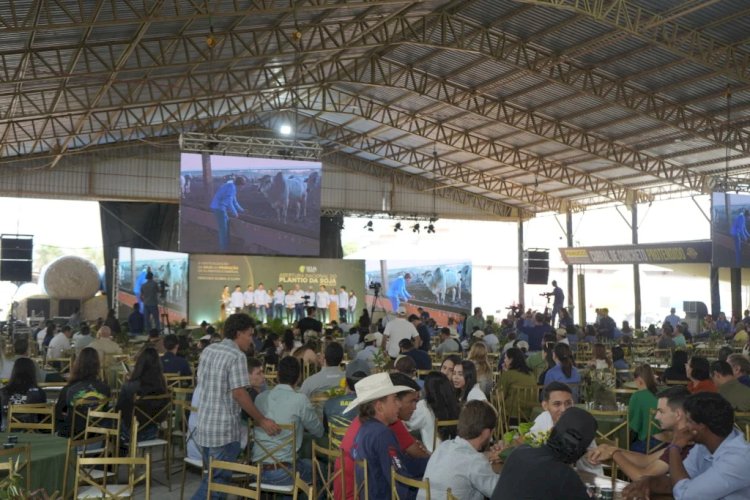 'Precisamos verticalizar a cadeia da soja para gerar mais valor na propriedade', afirma diretor da Fazenda Horizontina