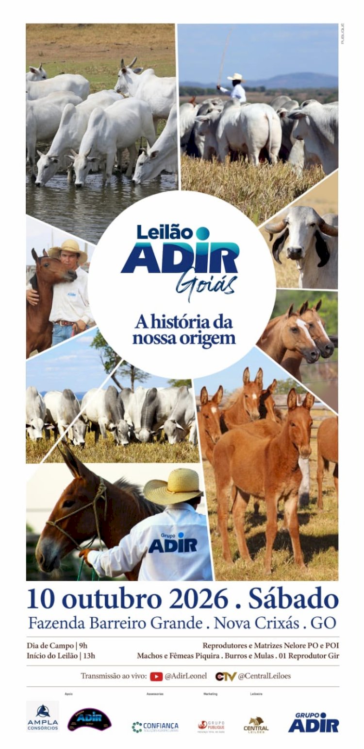 Leilão Adir Goiás