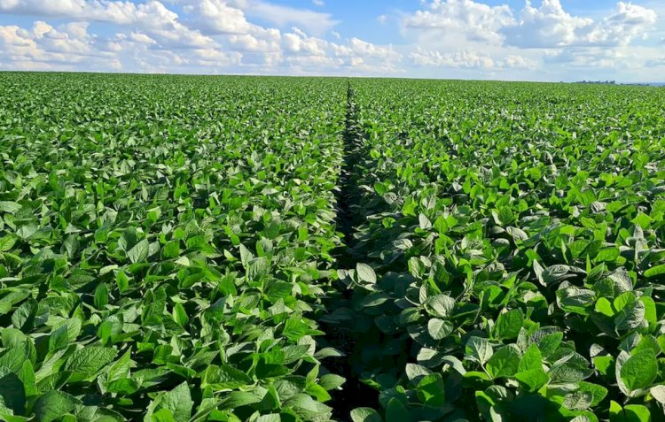 Sistema Faeg/Senar/Ifag, Sebrae e Aprosoja-GO realizam o Fórum Goiano Cenários do Agro na próxima segunda, 28