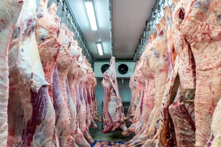 Ações migratórias atingem coração da pecuária dos EUA e ameaçam oferta de carne bovina