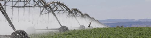 Município se tornou o primeiro entre os 5 goianos no ranking dos 10 maiores produtores do Brasil em 2025; maior uso de pivôs e proximidade de nutrientes