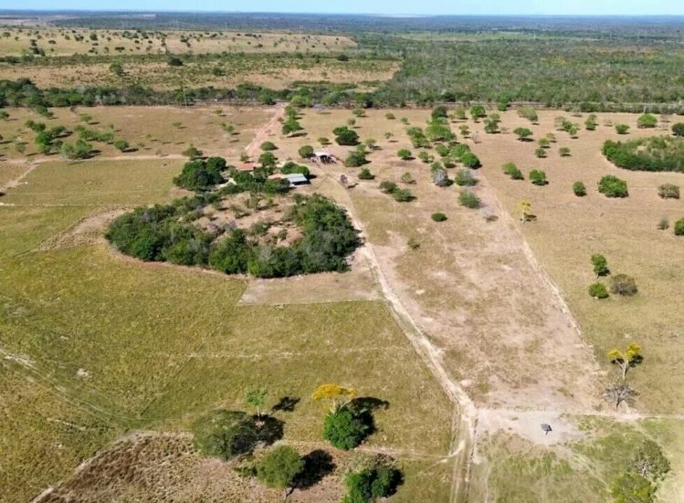 ITR 2026: prazo termina e produtor rural que não declarou já está sujeito a multa